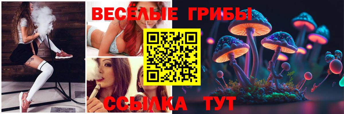 Псилоцибиновые грибы Cubensis Белгород
